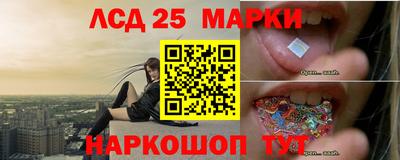 PSILOCYBIN Кингисепп