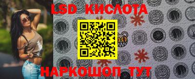 PSILOCYBIN Кингисепп