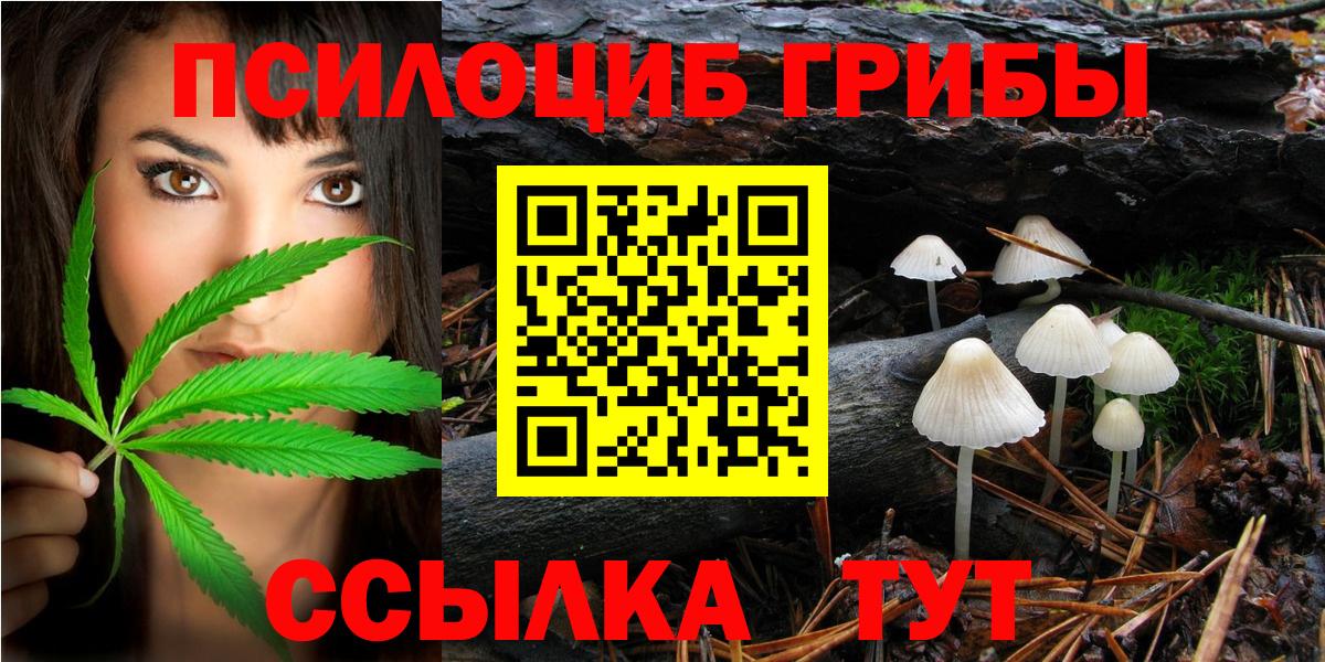 Галлюциногенные грибы Psilocybine cubensis  Галлюциногенные грибы Psilocybe  Геленджик  купить наркоту  Вход с VPN 